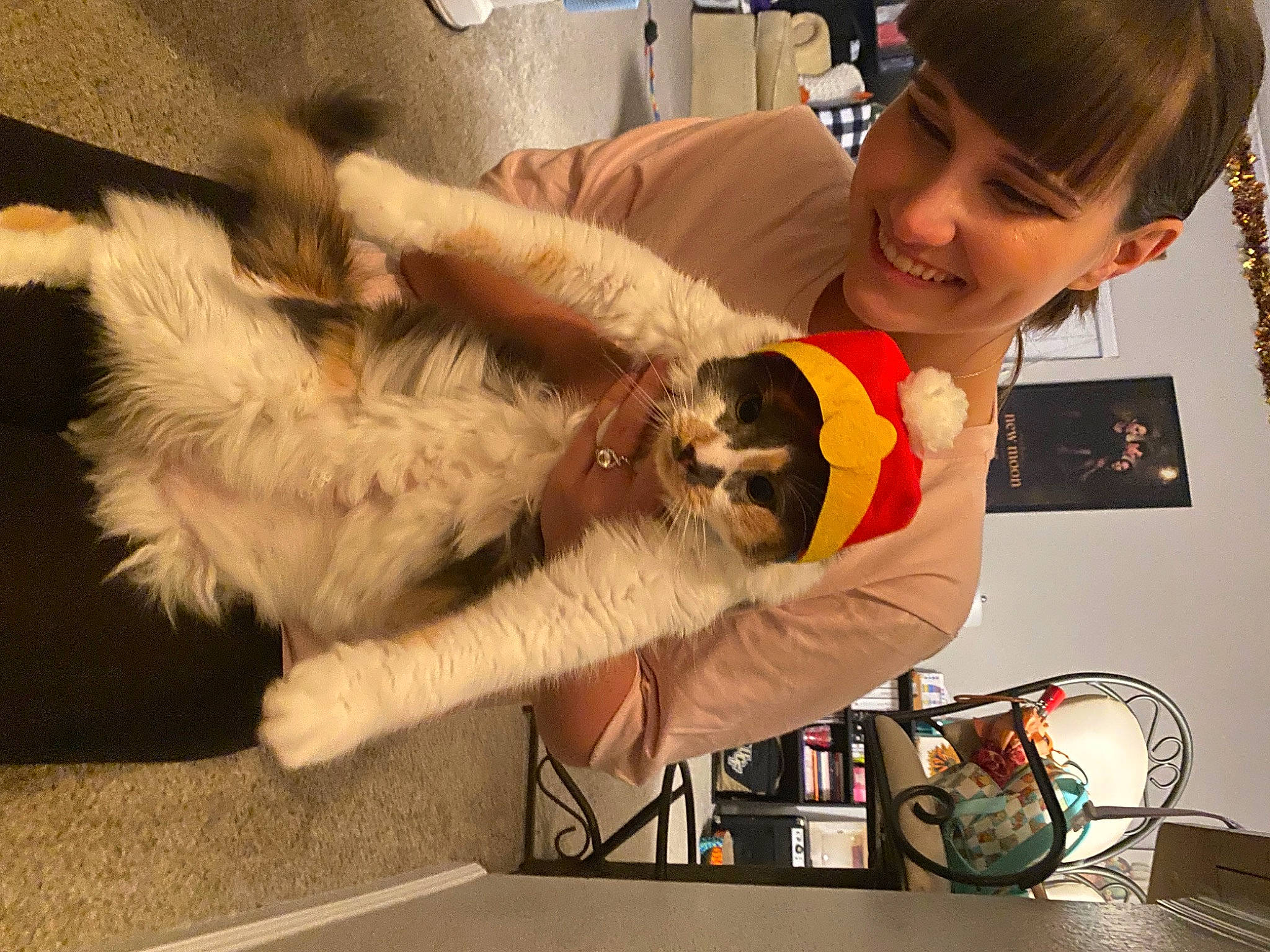 Mitzi joined the competition — help win amazing prizes! canidae, carnivore, cat, companion_dog, dog_breed, eyewear, fawn, felidae, fun, fur, happy, jewellery, lap, paw, room, small_to_medium_sized_cats, smile, sporting_group, tail, whiskers