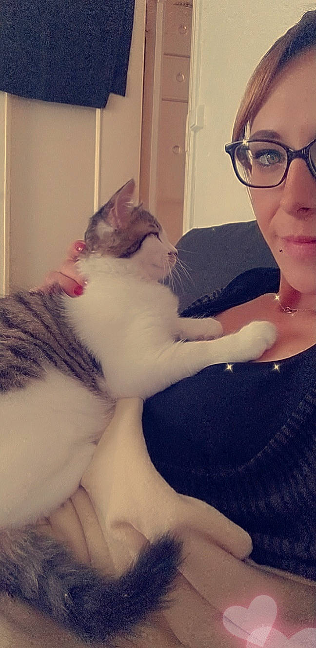 Rubén participe au concours pour gagner de l'argent avec cette photo : carnivore, cat, comfort, cool, ear, eye, eyebrow, felidae, finger, gesture, hair, happy, head, interaction, jaw, organ, shoulder, small_to_medium_sized_cats, vision_care, whiskers