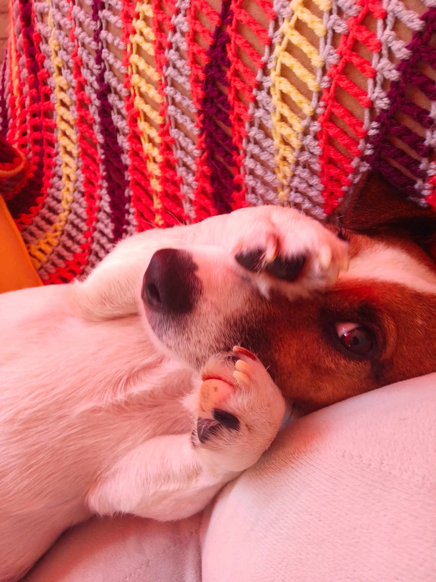Charly