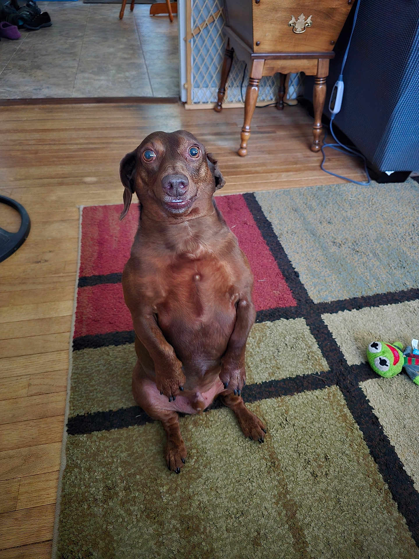 Bailey