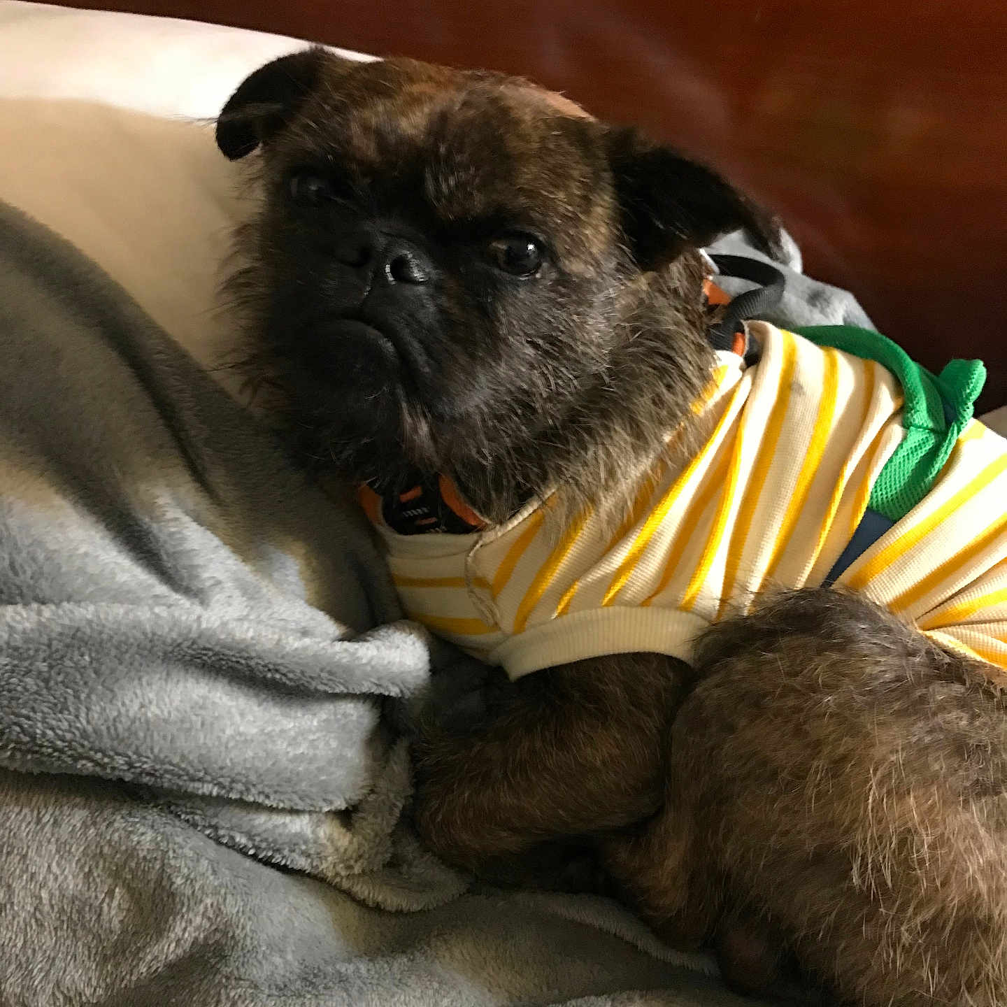 Oliver Tee Winkle
