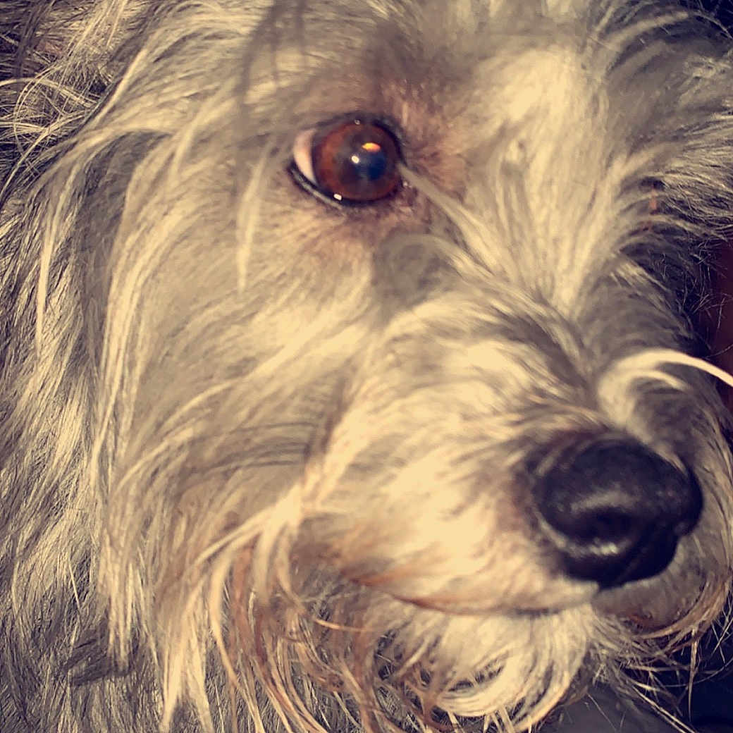 Maggie