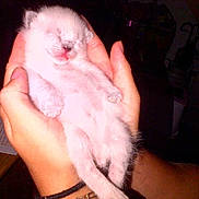 Newton participe au concours pour gagner de l'argent avec cette photo :