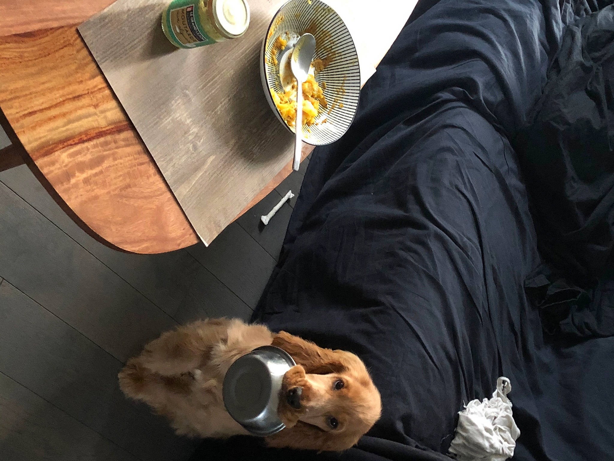 Rio a rejoint le concours — aidez-le/la à gagner de superbes lots ! metal