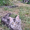 Edwige D.