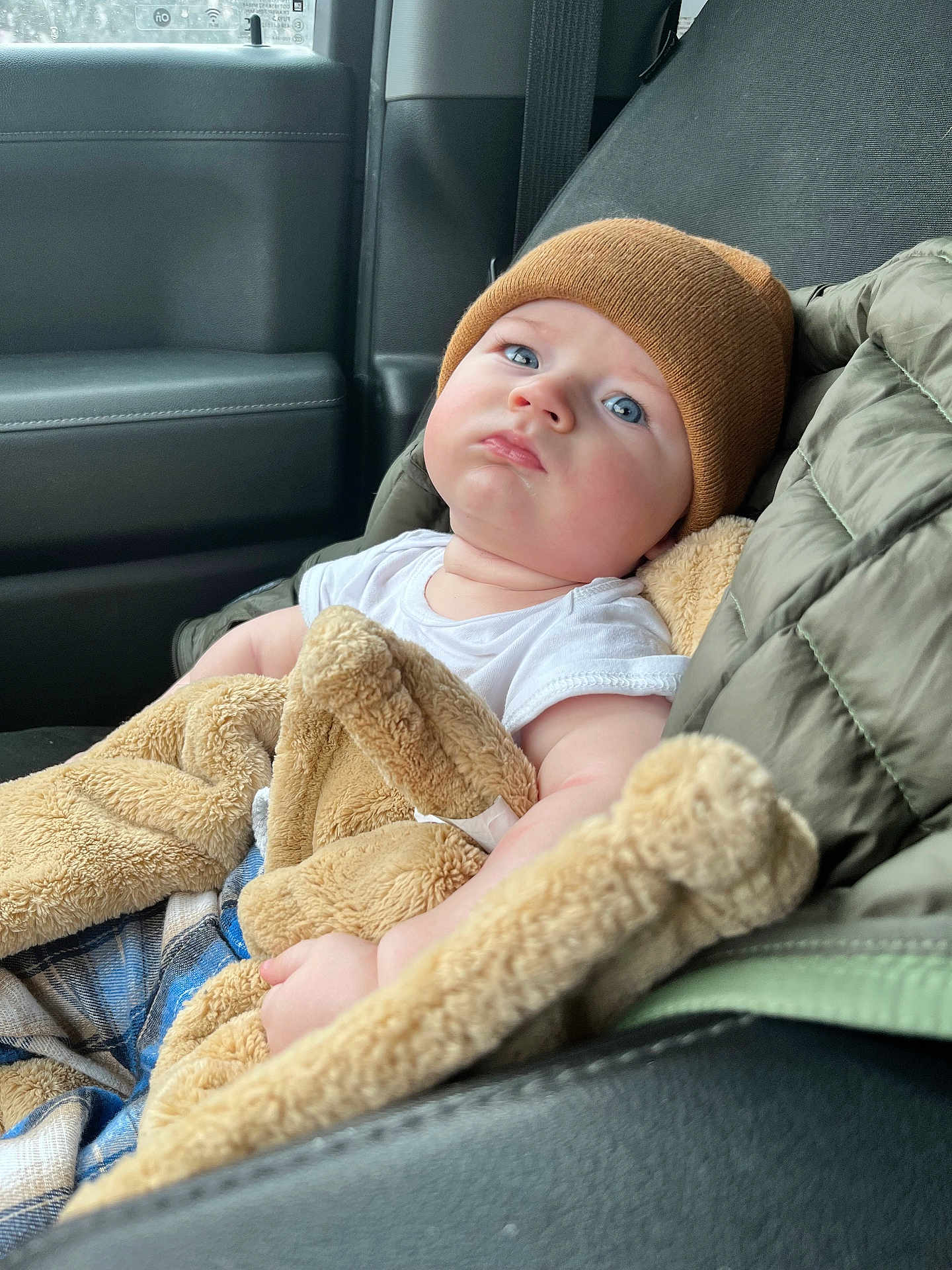 Waylon joined the competition — help win amazing prizes! baby, child, car_seat, blanket, beanie, blue_eyes, white_shirt, quilted_jacket, cozy, indoor, car_interior, seatbelt, cute, portrait, warm_clothing, infant, comfort, soft_texture, casual, resting