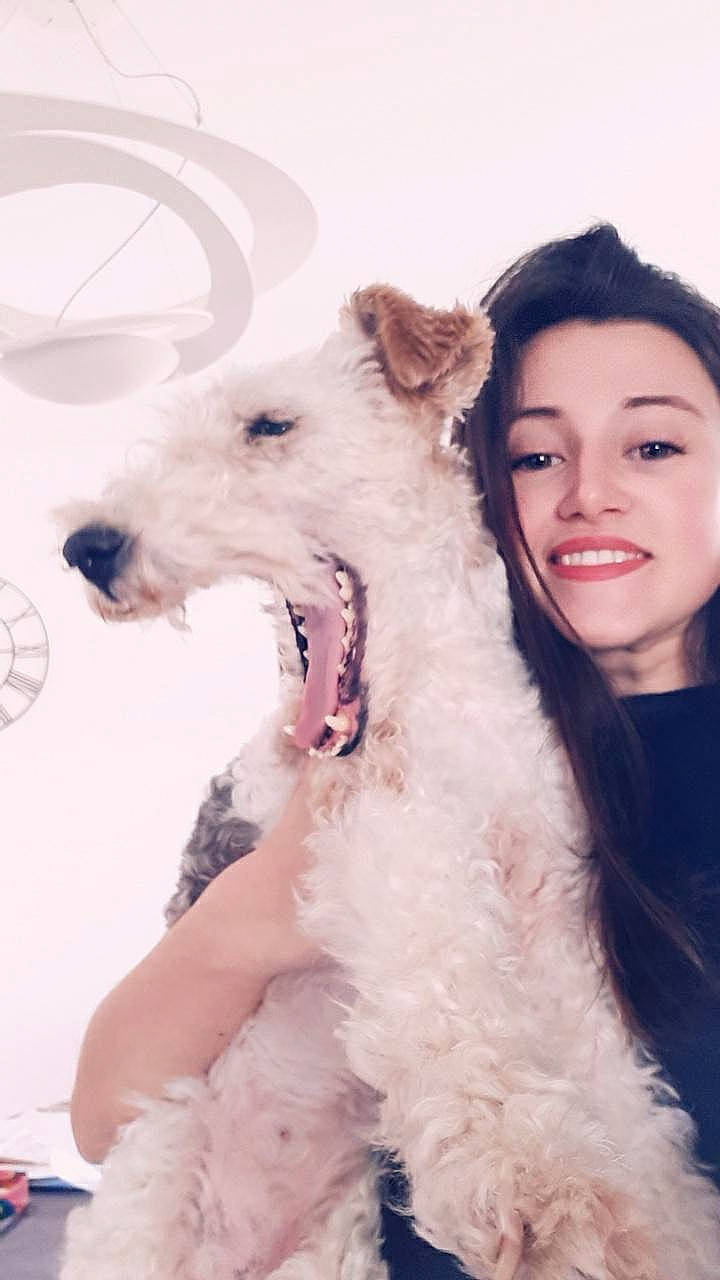 Brindille participe au concours pour gagner de l'argent avec cette photo : canidae, carnivore, companion_dog, dog, dog_breed, fox_terrier, joy, mammal, person, puppy_love, rare_breed_dog, terrier, wire_hair_fox_terrier