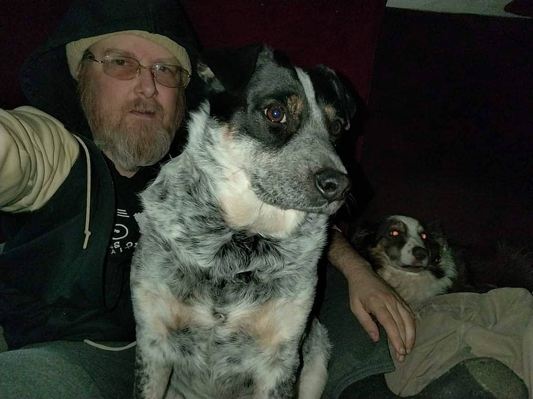 Rainer joined the competition — help win amazing prizes! baseball_cap, beard, canidae, cap, carnivore, companion_dog, dog, dog_breed, eyewear, facial_hair, fawn, fur, glasses, hat, moustache, snout, sun_hat, vision_care, whiskers, working_animal