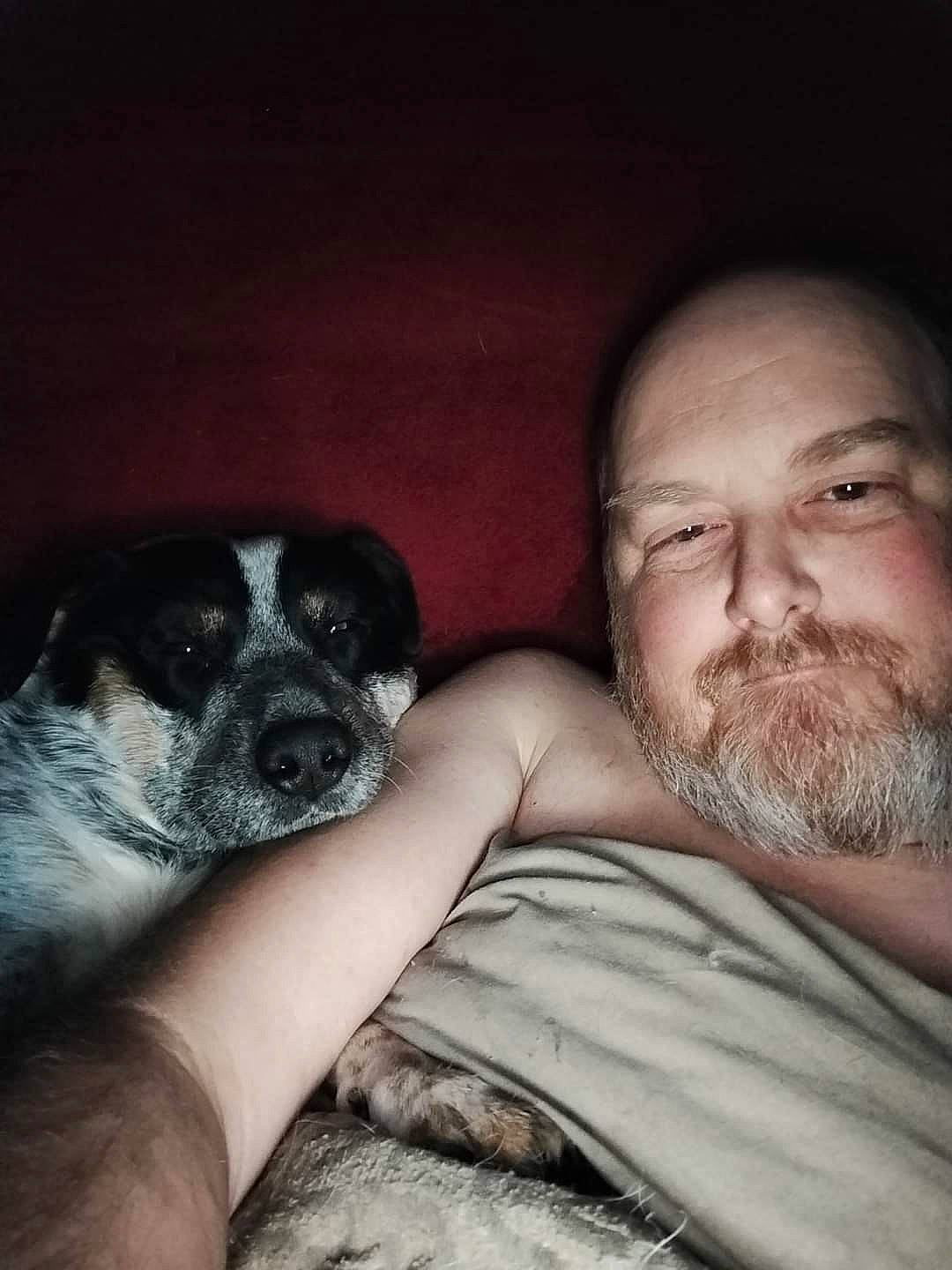 Rainer is registered to the contest to win money with this photo: beard, carnivore, comfort, companion_dog, dog, dog_breed, ear, eye, fawn, finger, flash_photography, gesture, hand, iris, moustache, mouth, nose, skin, whiskers, wrinkle