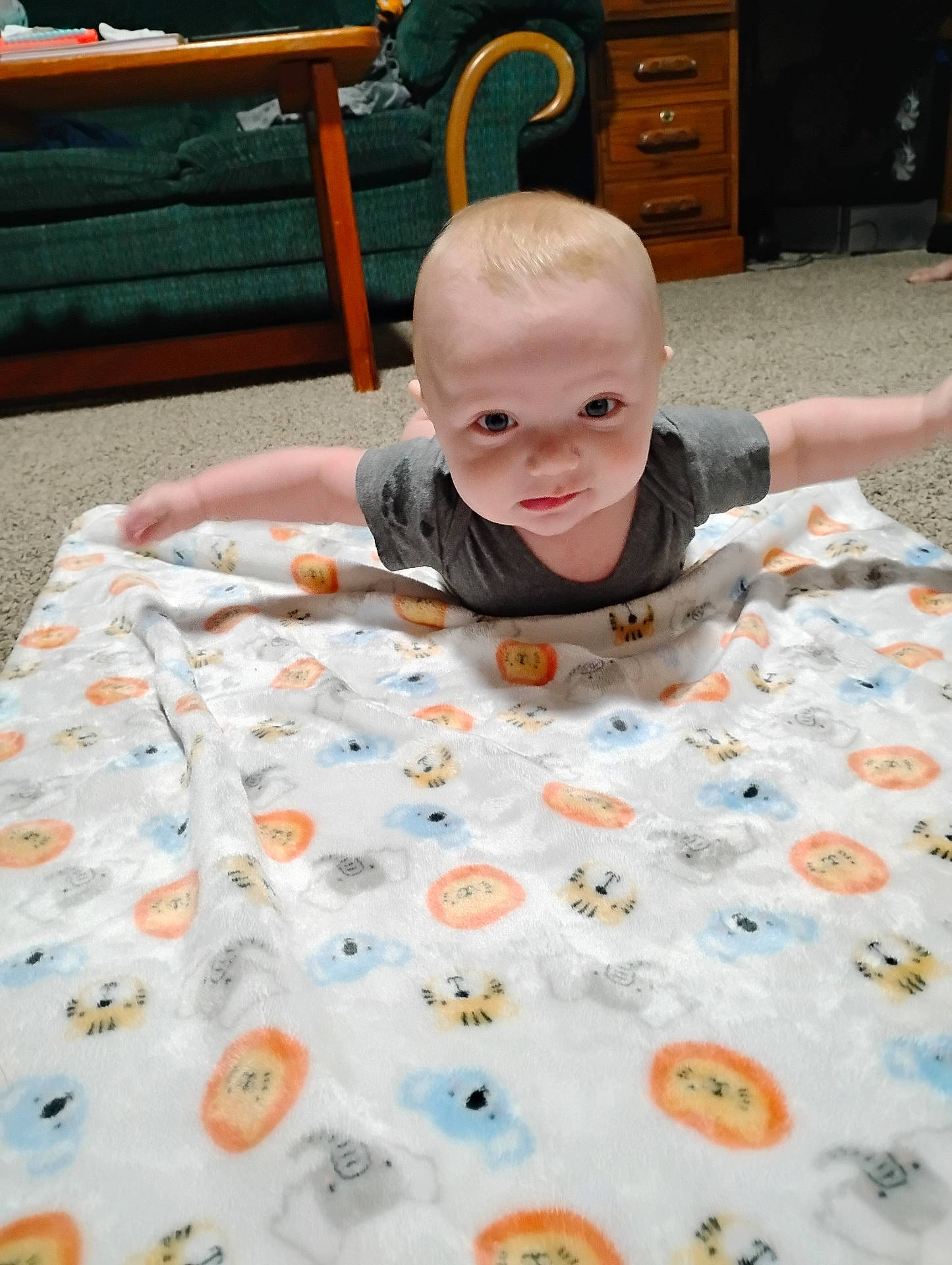 Cyrus joined the competition — help win amazing prizes! animal_print, baby, blanket, carpet, carpeted_floor, child, couch, curious, cute, drawer, furniture, gray_shirt, indoor, infant, living_room, person, soft_texture, table, toddler, wood