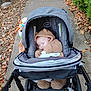 baby, stroller, sleeping, autumn, sidewalk, leaves, toy, outdoor, child, clothing, hood, fuzzy, peaceful, cozy, fall, nature, person, infant, transportation, blanket