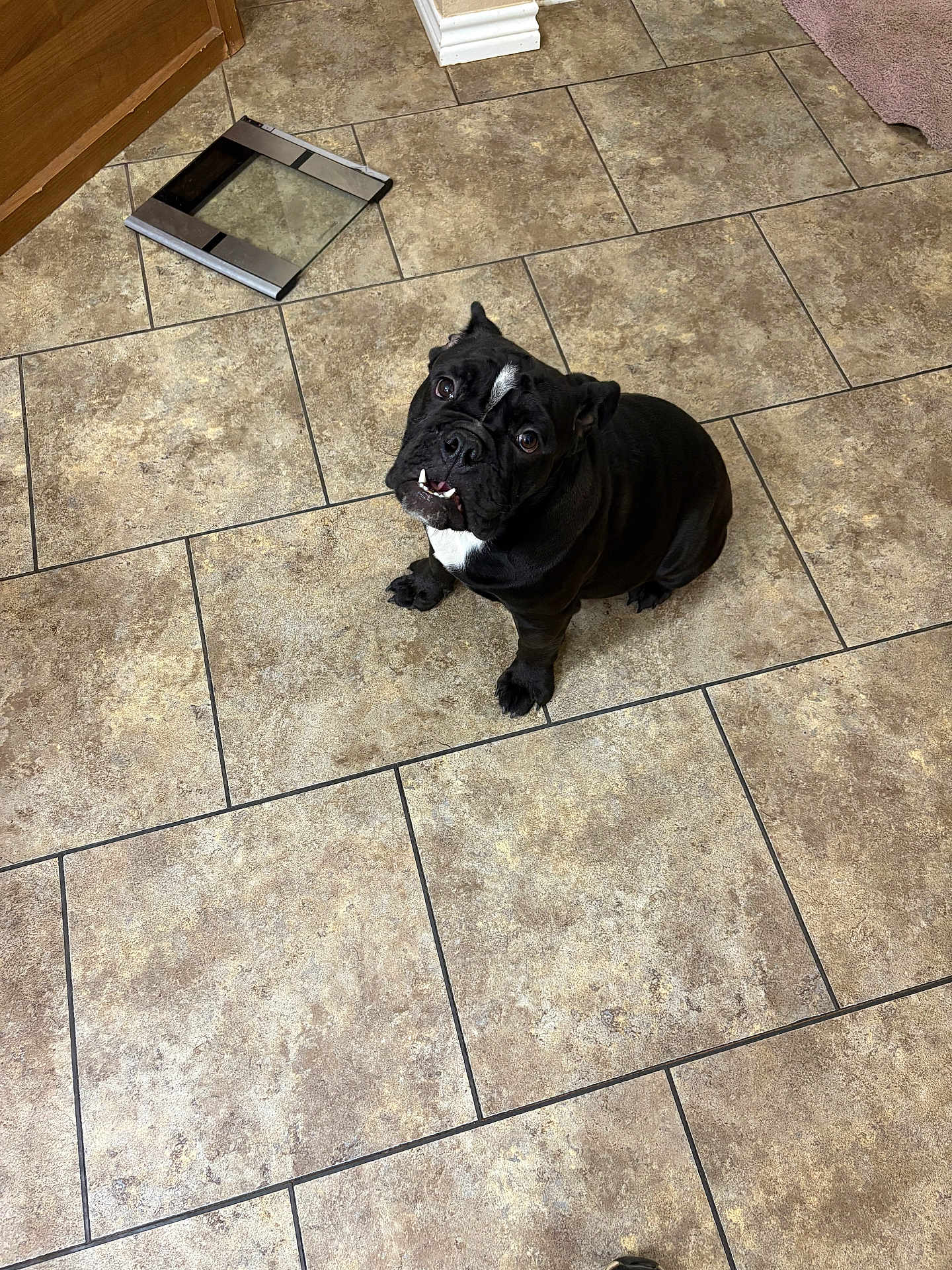 Tank