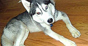Treason is registered to the contest to win money with this photo: