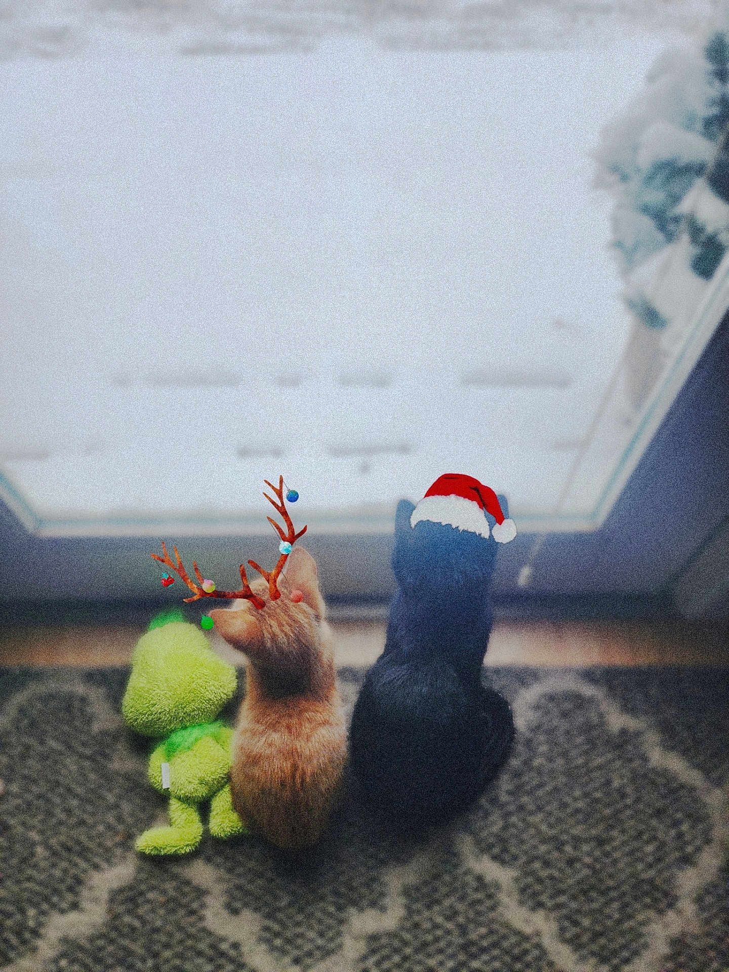 Binx And Jack joined the competition — help win amazing prizes! animal, back_view, black_cat, cat, cats, cozy, cute, decorations, festive, frosted_window, holiday_theme, indoor, orange_cat, patterned_rug, pets, plush_toy, reindeer_antlers, rug, santa_hat, window