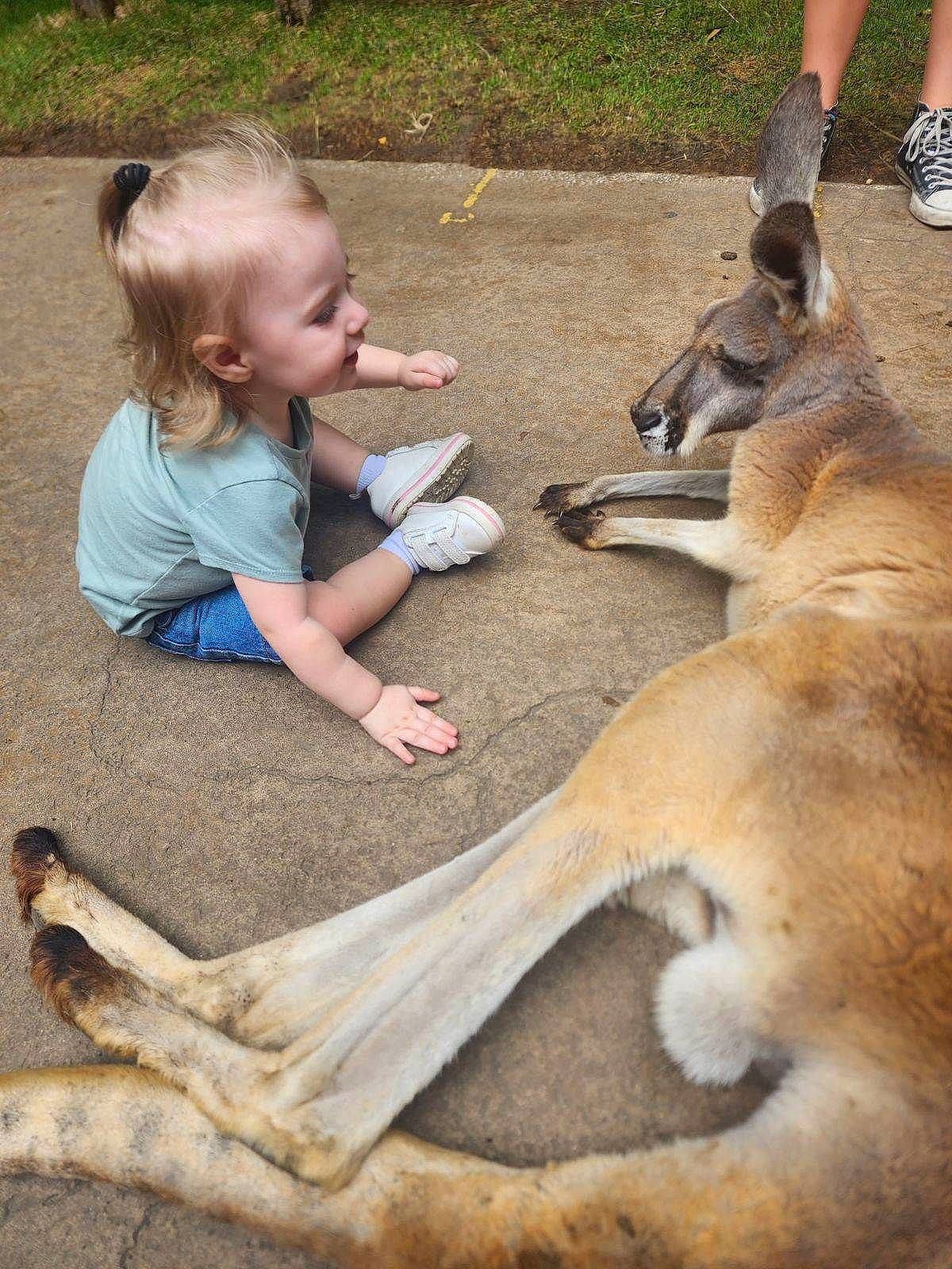 Hazel joined the competition — help win amazing prizes! baby, baby_toddler_clothing, canidae, carnivore, companion_dog, dog, dog_breed, fawn, flip_flops, foot, grass, human_leg, paw, person, sand, sitting, smile, sporting_group, terrestrial_animal, toddler