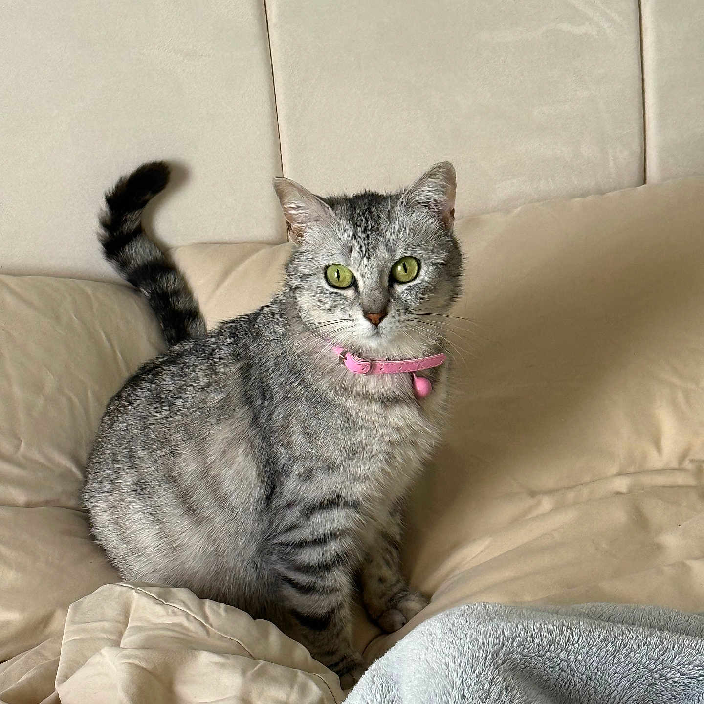 Princesse
