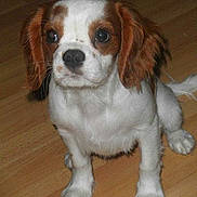 Kiara participe au concours pour gagner de l'argent avec cette photo :