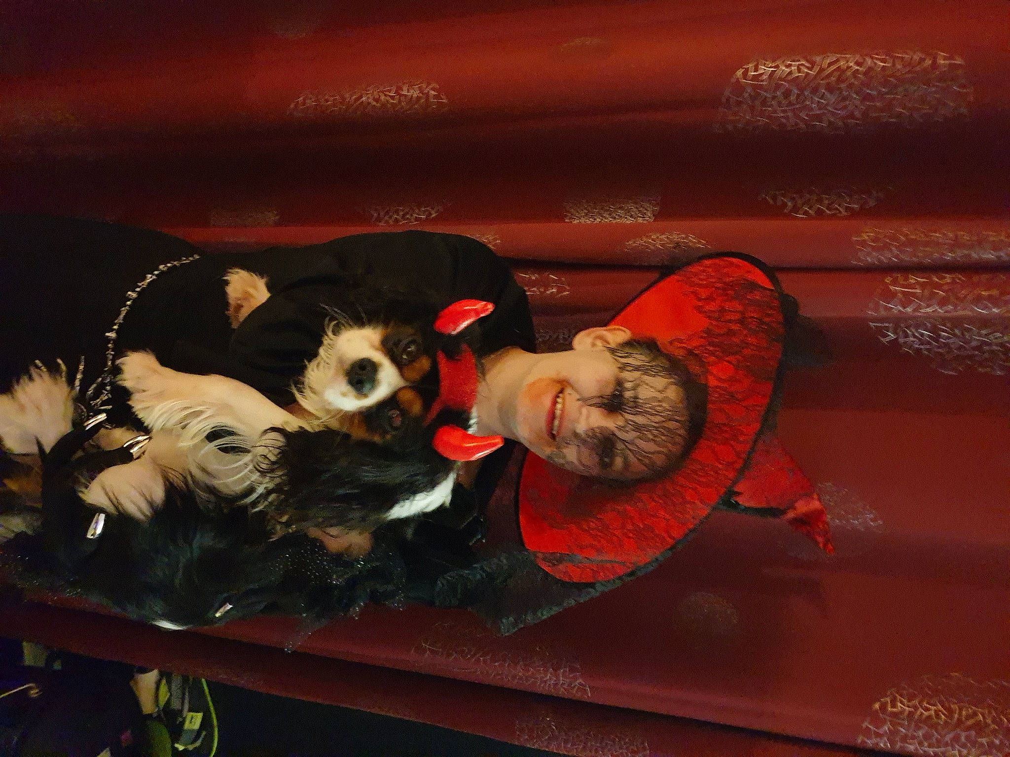 Marley a rejoint le concours — aidez-le/la à gagner de superbes lots ! canidae, painting