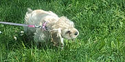 Daisy participe au concours pour gagner de l'argent avec cette photo :