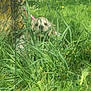 Daisy participe au concours pour gagner de l'argent avec cette photo :