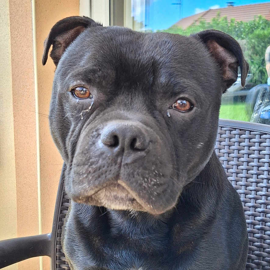 Ragnar