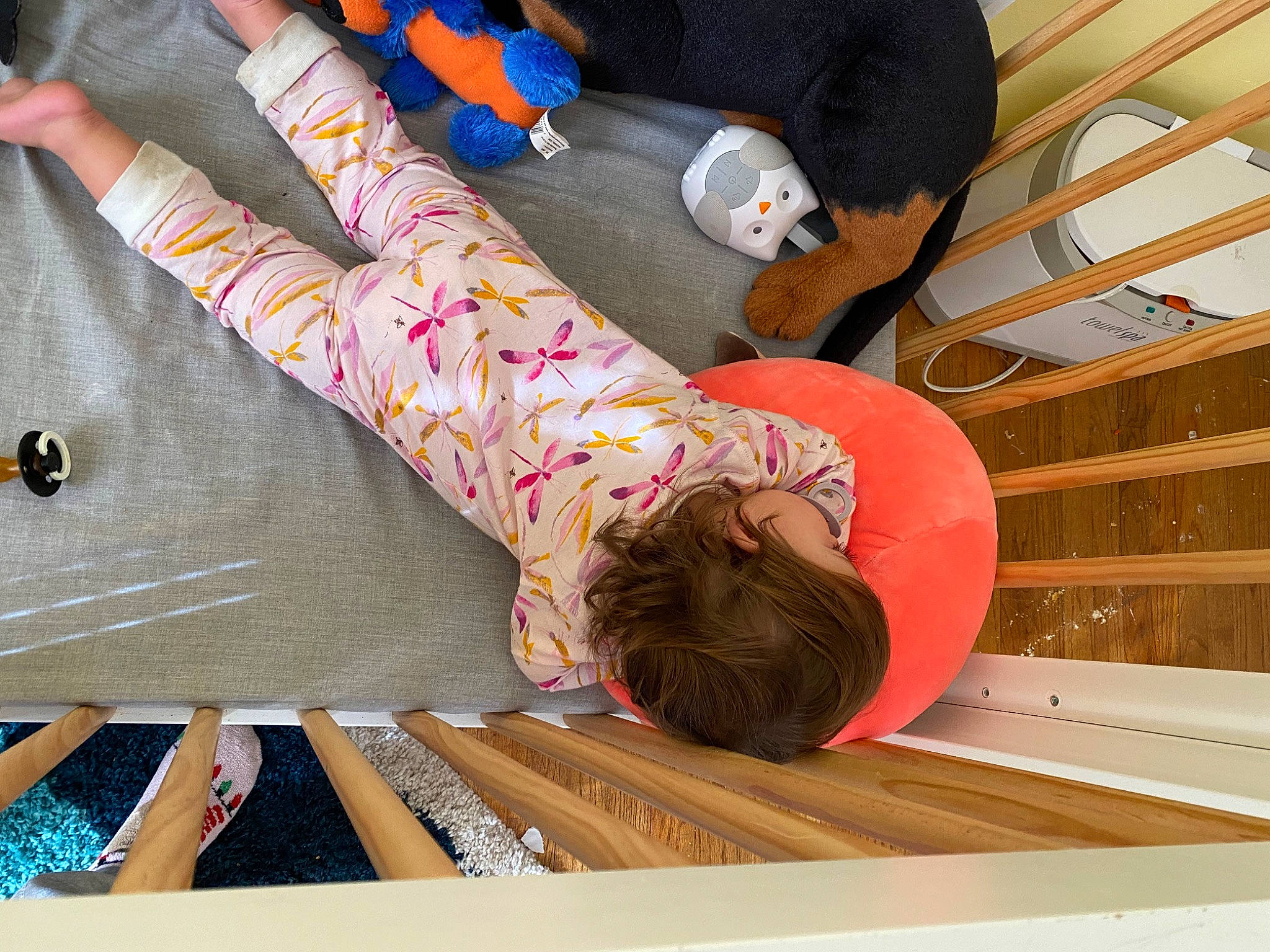 Ivey joined the competition — help win amazing prizes! child, comfort, elbow, floor, flooring, fun, hardwood, human_leg, leisure, pattern, person, plywood, room, sleeve, thigh, toddler, varnish, wood, wood_stain