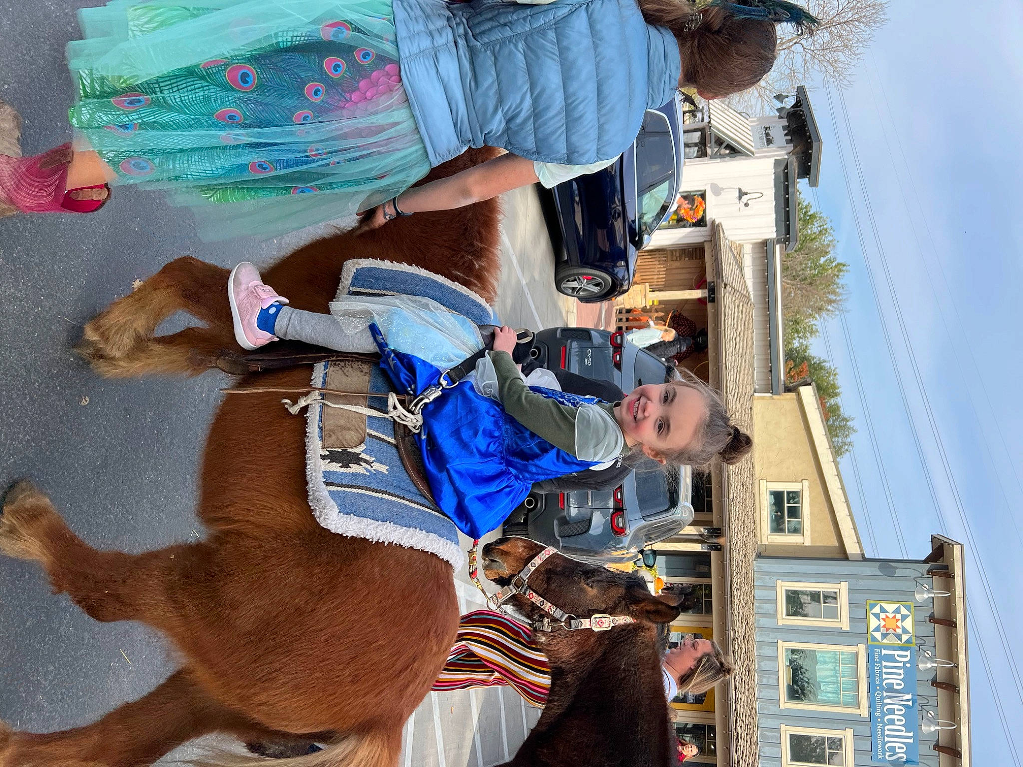 Scarlett joined the competition — help win amazing prizes! animal_sports, blue, bridle, companion_dog, dog, dog_breed, dog_supply, fun, hat, horse_supplies, horse_tack, joy, leash, leisure, pack_animal, person, recreation, rein, sky, travel