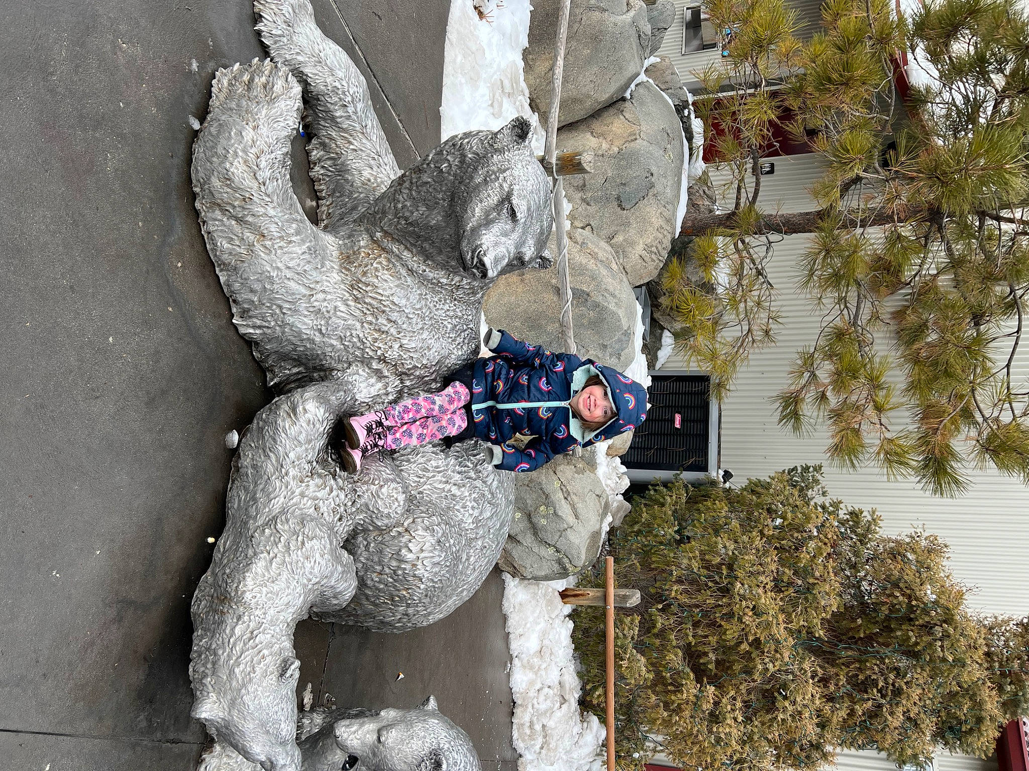 Scarlett is registered to the contest to win money with this photo: adventure, art, event, facade, freezing, frost, fun, fur, headwear, joy, leisure, person, plant, recreation, tree, trunk, twig, visual_arts, window, winter