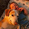 child, toddler, dog, pet, cuddle, smile, happy, indoor, blanket, paw_print, clothing, blue_shirt, striped_pants, face, fur, animal, friendship, cozy, relaxation, warm_light
