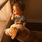 Alekzander joined the competition — help win amazing prizes! toddler, child, dog, window, sunlight, indoor, curious, pet, animal, portrait, side_view, warm_light, person, young_child, domestic, companionship, brown, white, floor, home