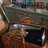 cat, orange_cat, travel_bag, indoor, furniture, dresser, clothing, curious, pet, orange, resting, cozy, bag_handle, photo_frame, artwork, household_items, storage_box, wooden_surface, indoor_lighting, domestic