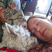 Falcon a rejoint le concours — aidez-le/la à gagner de superbes lots ! dog, person, sleeping, couch, pillow, indoor, resting, white_dog, collar, fluffy, face, relaxation, home, casual_clothing, close_up, nap, companion, comfort, pet, human