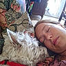 casual_clothing, close_up, collar, comfort, companion, couch, dog, face, fluffy, home, human, indoor, nap, person, pet, pillow, relaxation, resting, sleeping, white_dog