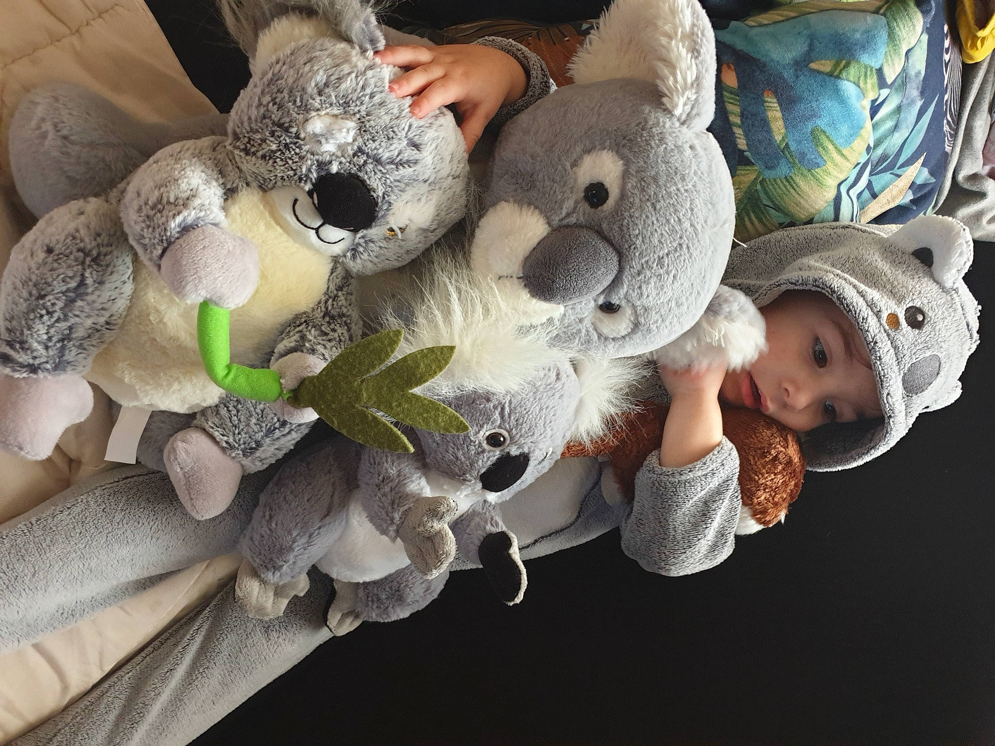 Enola a rejoint le concours — aidez-le/la à gagner de superbes lots ! baby_products, baby_toys, bonnet, fur, headwear, person, plush, stuffed_toy, teddy_bear, textile, toy