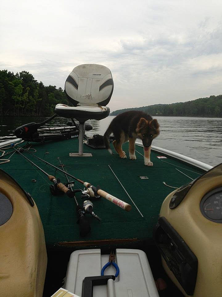 Lana is registered to the contest to win money with this photo: auto_part, automotive_exterior, automotive_tire, boat, boats_and_boating_equipment_and_supplies, cloud, gas, lake, leisure, mode_of_transport, motor_vehicle, naval_architecture, recreation, ship, sky, tree, vehicle, water, watercraft, windshield