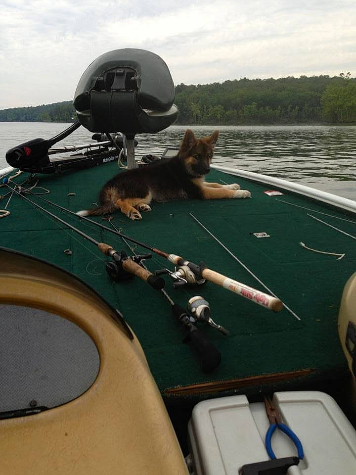 Lana joined the competition — help win amazing prizes! automotive_exterior, boat, boats_and_boating_equipment_and_supplies, cloud, dog, lake, leisure, metal, motor_vehicle, naval_architecture, personal_protective_equipment, recreation, ship, sky, vehicle, water, water_transportation, watercraft, windshield, wood