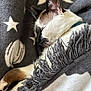Fergus joined the competition — help win amazing prizes! cat, sleeping, blanket, star_pattern, fringe, cozy, fur, pet, animal, indoor, resting, closeup, soft_texture, white, brown, black, collar, comfort, relaxation, nap