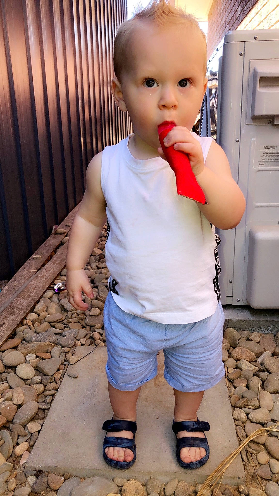 Levii is registered to the contest to win money with this photo: baby_toddler_clothing, cheek, child, child_model, leg, lip, person, shorts, sleeve, standing, surprise, t_shirt, toddler
