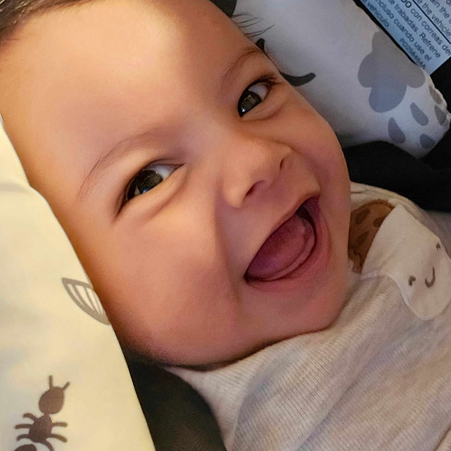 Liam joined the competition — help win amazing prizes! ant, baby, child, close_up, clothing, cute, expression, eyes, face, happy, head, infant, joyful, mouth, pattern, pillow, portrait, skin, smiling, young