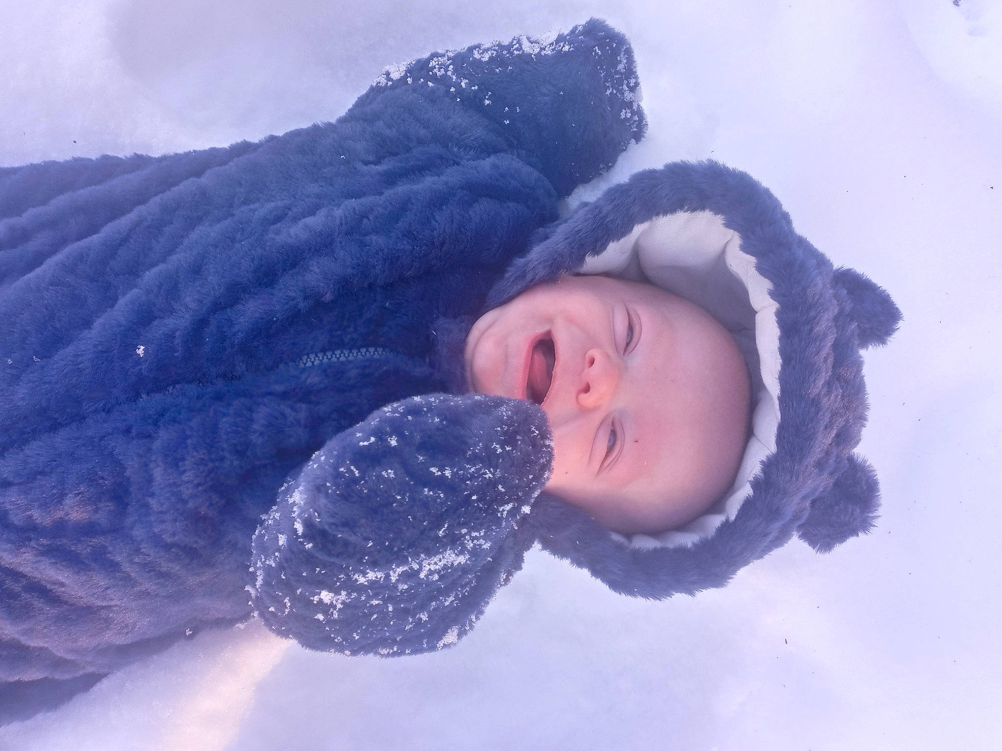 Mavrick is registered to the contest to win money with this photo: beanie, bonnet, cap, electric_blue, freezing, fun, fur, hood, human_body, knit_cap, person, plant, playing_in_the_snow, precipitation, recreation, sky, snow, toddler, tree, winter