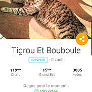 Famille T.c participe au concours pour gagner de l'argent avec cette photo : advertising, carnivore, cat, domestic_short_haired_cat, felidae, font, fur, kitchen_utensil, organism, paw, photo_caption, plate, screenshot, small_to_medium_sized_cats, snout, tableware, tail, terrestrial_animal, vertebrate, whiskers
