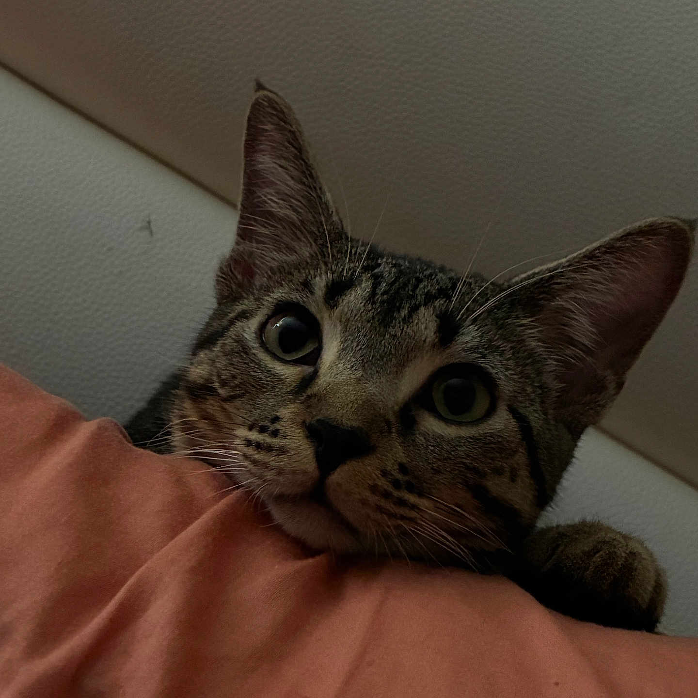 Esme