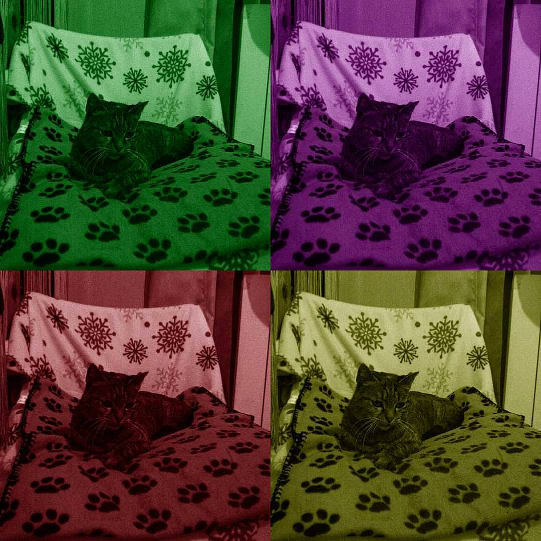 Lilou participe au concours pour gagner de l'argent avec cette photo : baby_toddler_clothing, black, creative_arts, font, green, linens, magenta, motif, outerwear, pattern, pillow, pink, purple, rectangle, sleeve, textile, violet, white, window, yellow