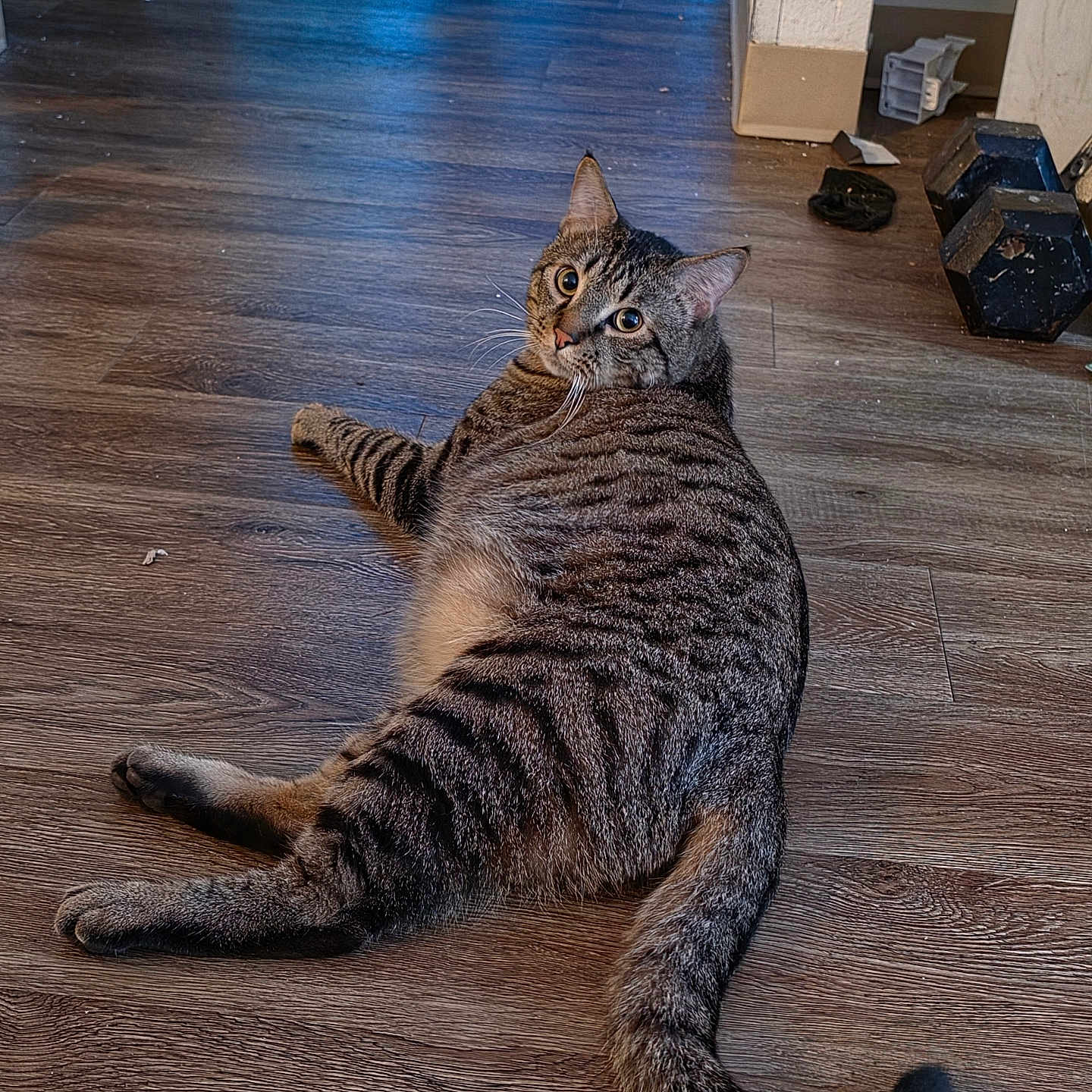 Taki