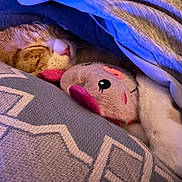 Gem-Gen joined the competition — help win amazing prizes! animal, blanket, cat, comfort, cozy, cushion, cute, fur, indoor, nap, orange_tabby, paw, pet, pink, plush_toy, relaxed, resting, sleeping, soft, stuffed_animal