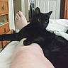 Kitty is registered to the contest to win money with this photo: