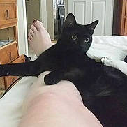 Kitty joined the competition — help win amazing prizes!