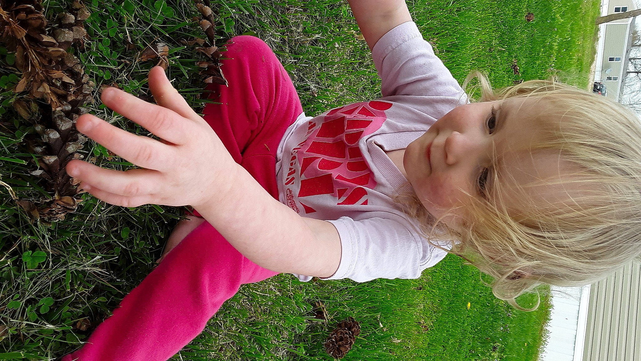 Isabell is registered to the contest to win money with this photo: arm, child, finger, gesture, grass, grass_family, hand, happy, leaf, meadow, nail, people_in_nature, person, pink, plant