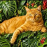 Potiron participe au concours pour gagner de l'argent avec cette photo : animal, cat, closeup, domestic_cat, ears, eyes, feline, flowers, foliage, ginger_cat, greenery, lying_down, nature, outdoor, paw, pet, plants, red_flowers, relaxed, whiskers