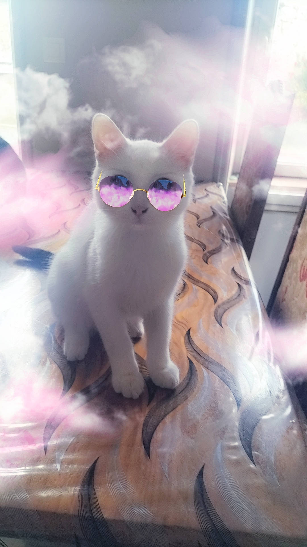Oreo participe au concours pour gagner de l'argent avec cette photo : drinkware, eyewear, fawn, felidae, fur, glasses, grey, linens, magenta, metal, pattern, pink, purple, small_to_medium_sized_cats, snout, stuffed_toy, tail, toy, violet, whiskers